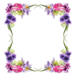 Разноцветные цветы