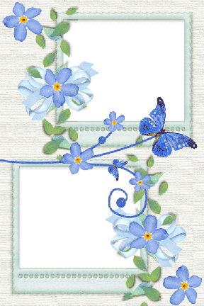 Бабочка и незабудки