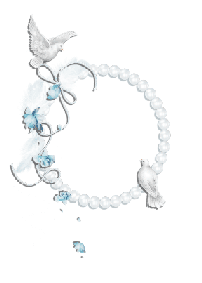 Пара голубей