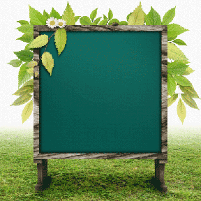 Школьное фото