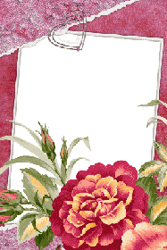 Цветущий пион