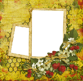 Летняя виньетка для двух фотографий