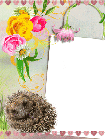 Фоторамка png с ежиком